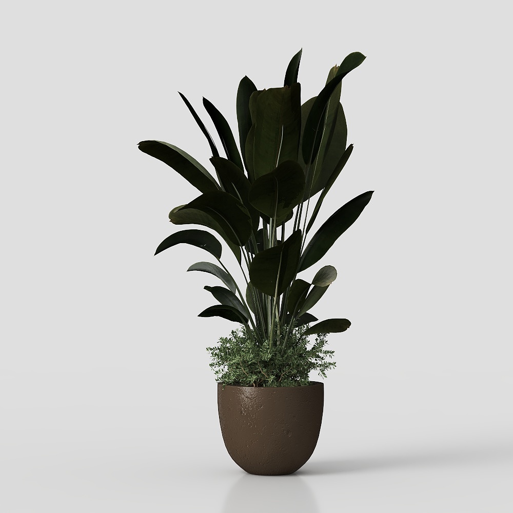 Tropical Green Plant Pot 3D model