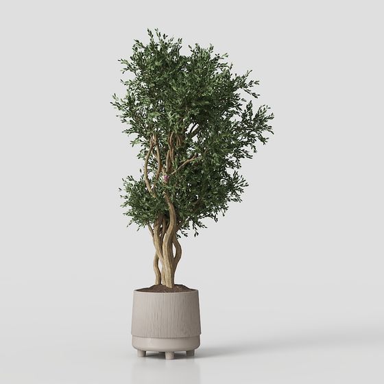 Urban Oasis 3D Model for Interior Design