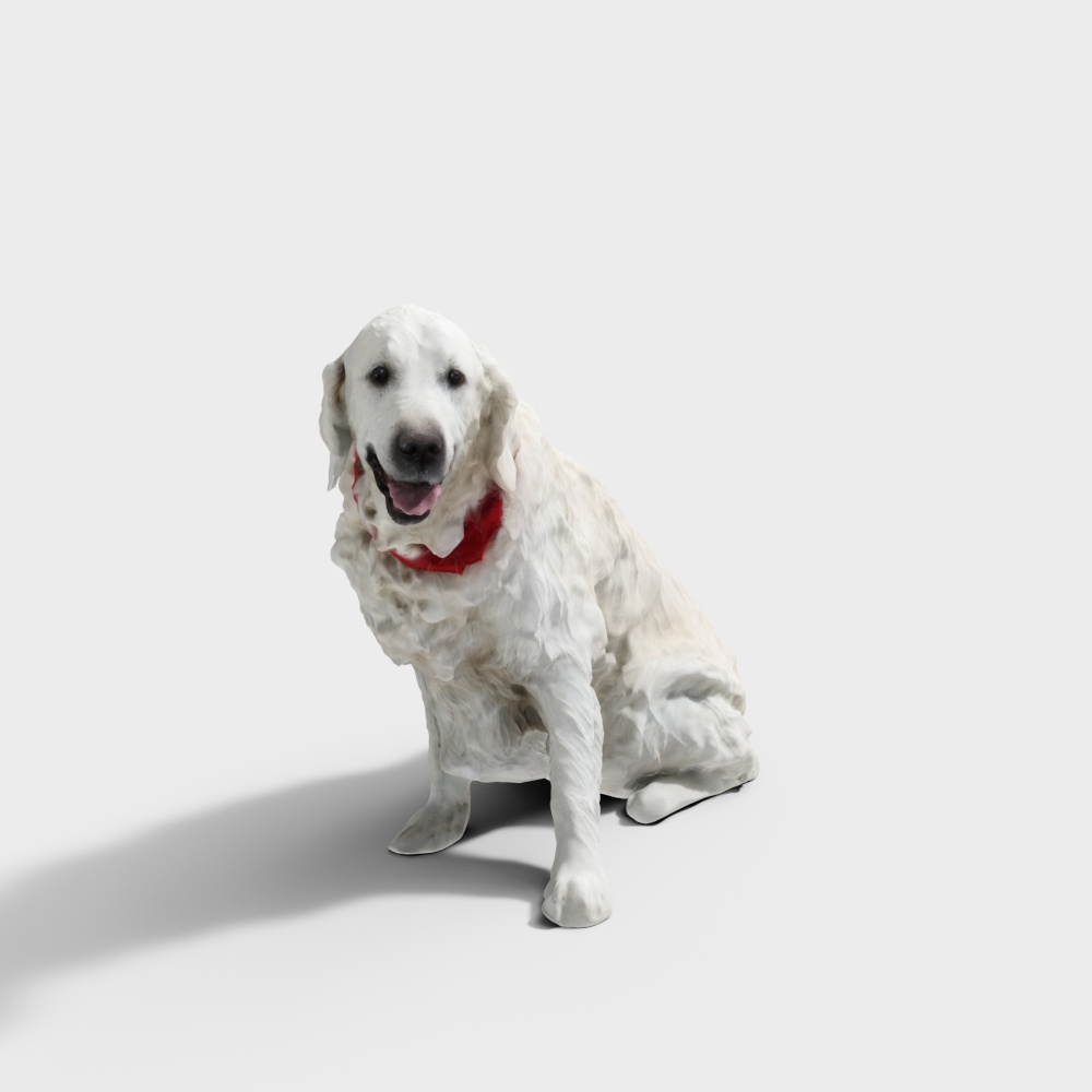 Golden Retriever Dog