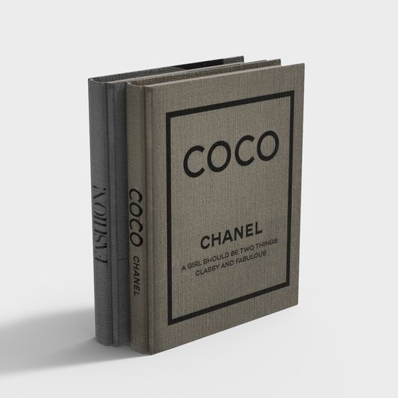 Coco Chanel Book 3D model