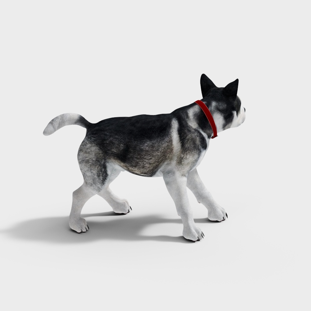 Realistic Low-Poly Siberian Husky 3D model