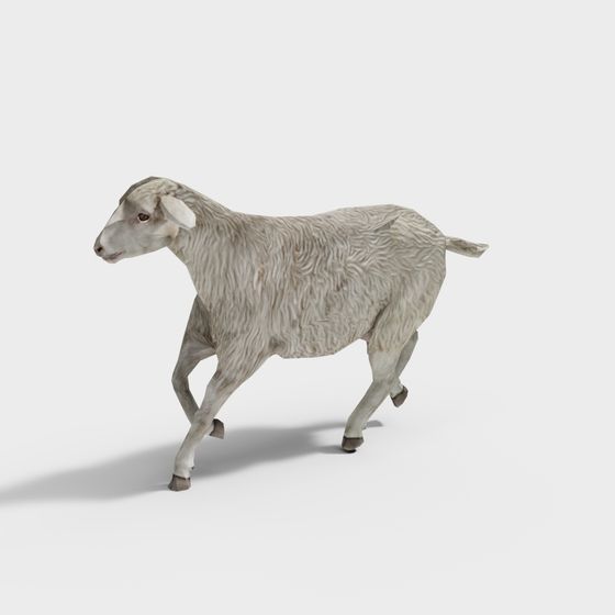 Realistic Low-Poly Sheep 3D Model for Creative Projects