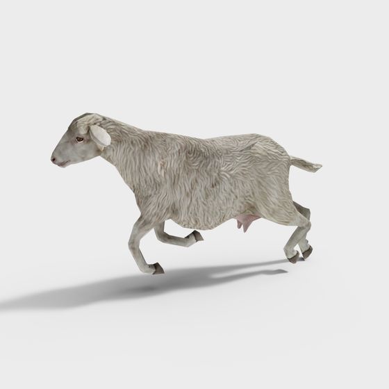 Realistic Low-Poly Sheep 3D model for Creators