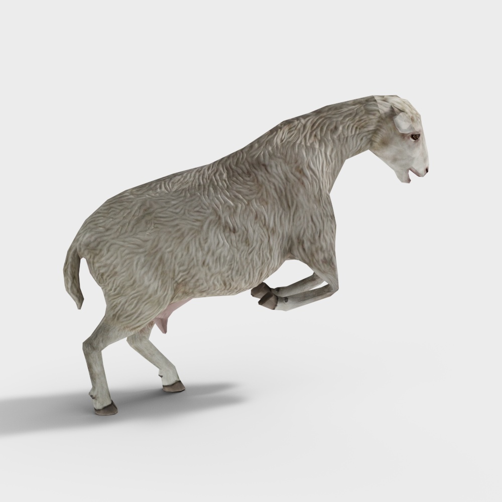 Lifelike Low-Poly Sheep 3D model