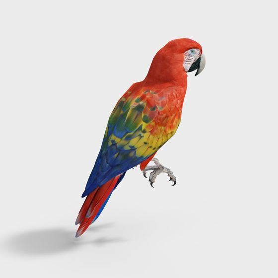 Rainbow Wings Parrot 3D model