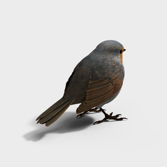 Realistic Low-Poly Bird 3D model