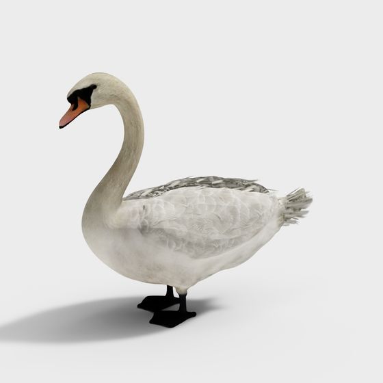 Elegant Swan 3D model