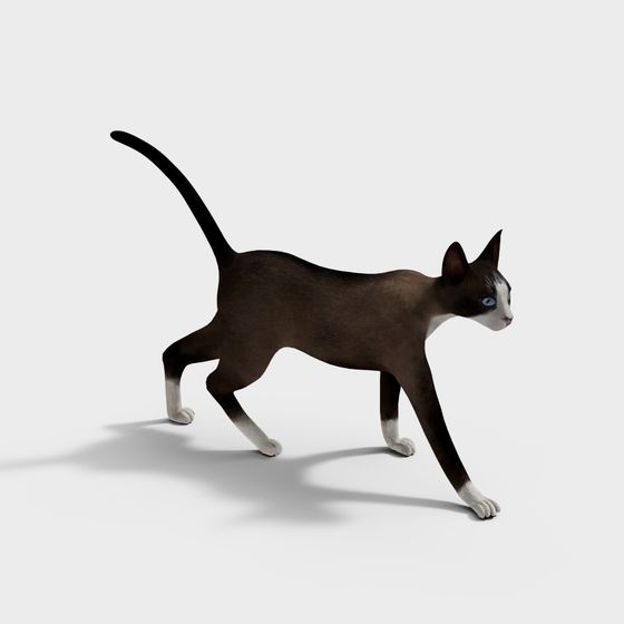 Savannah Cat 3D Model