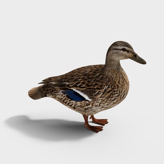 Realistic Low-Poly 3D Duck Model