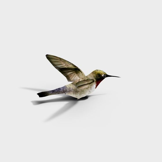 Flying Hummingbird 3D Model