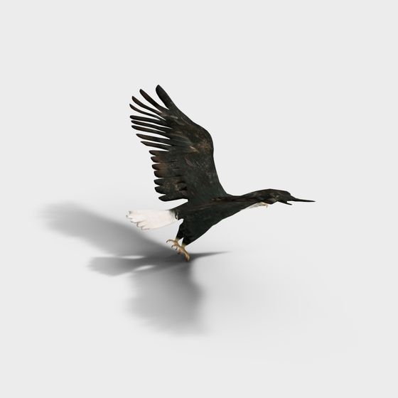 Majestic Eagle 3D model in Flight