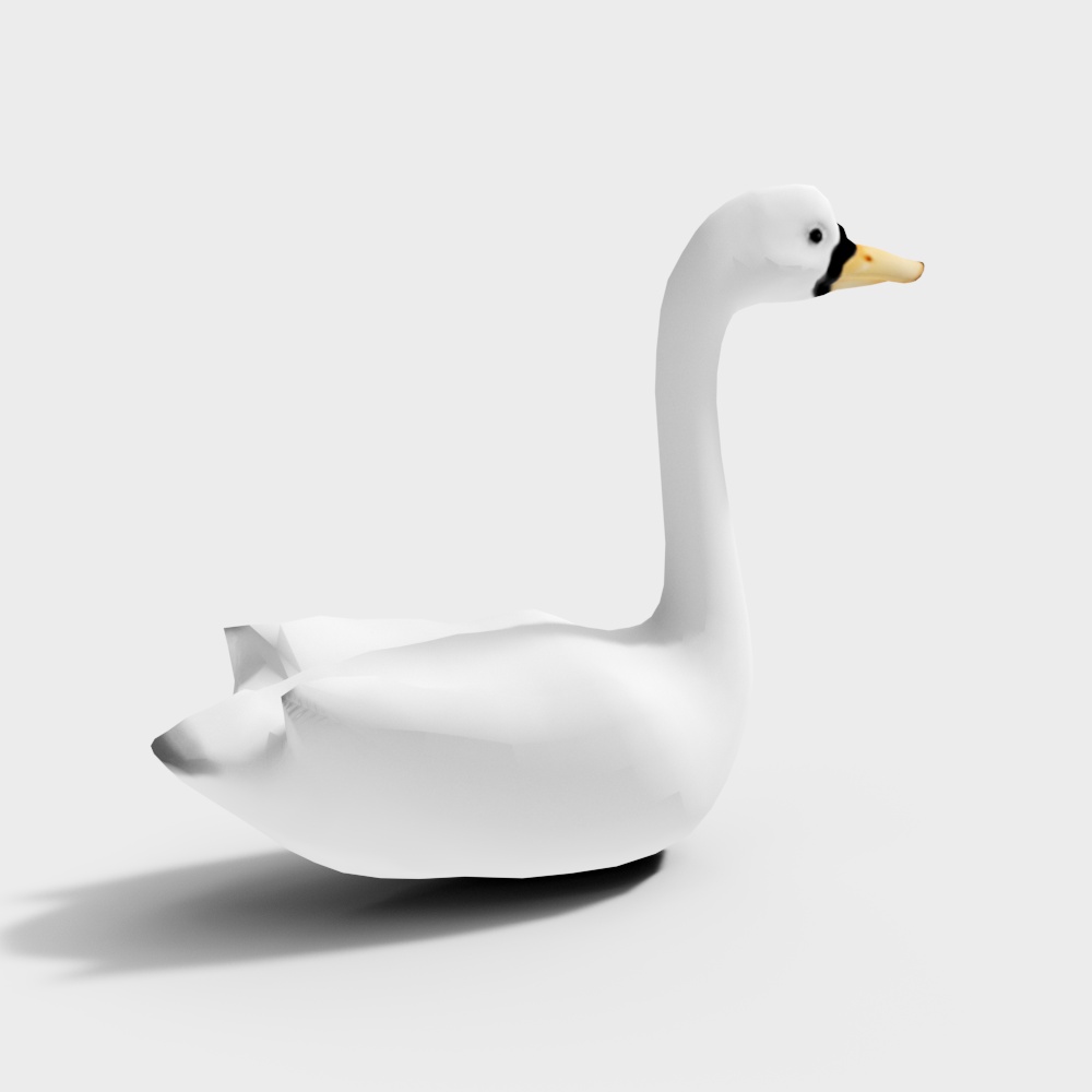 Swan