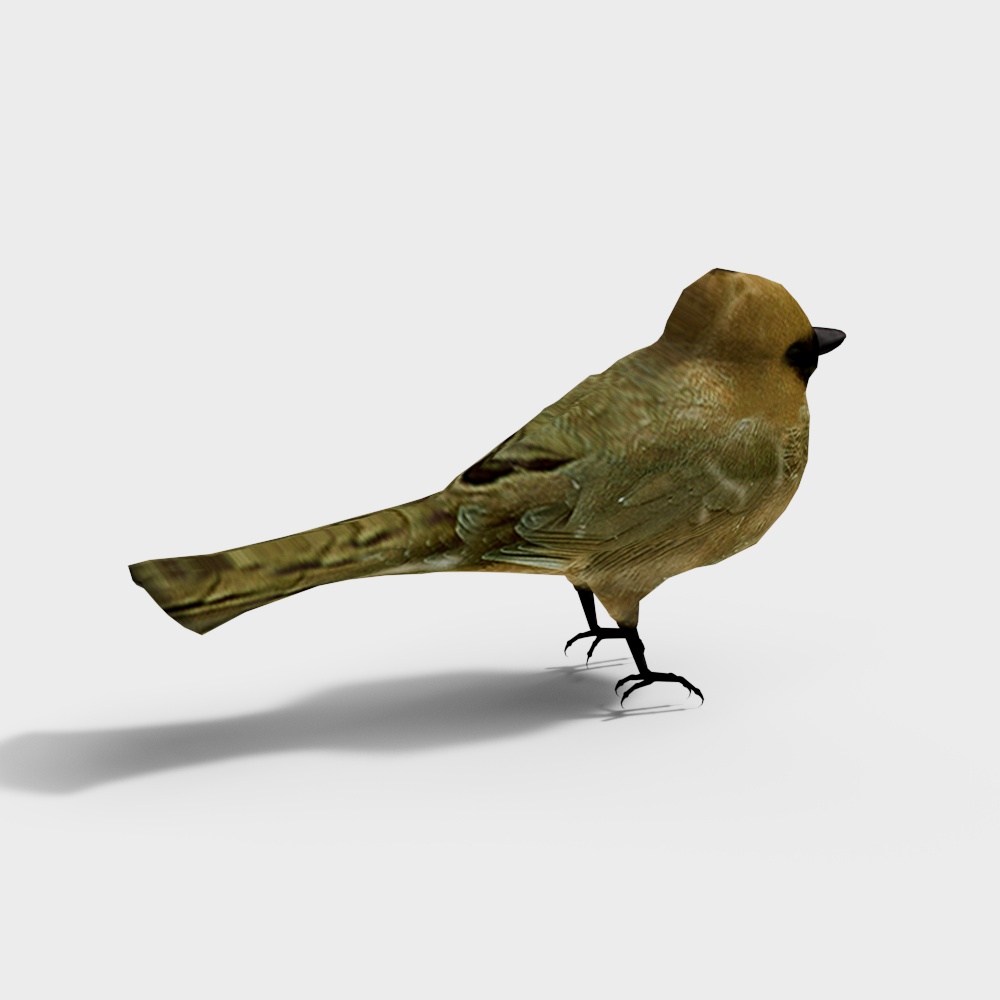 Realistic Forest Spirit Bird 3D model