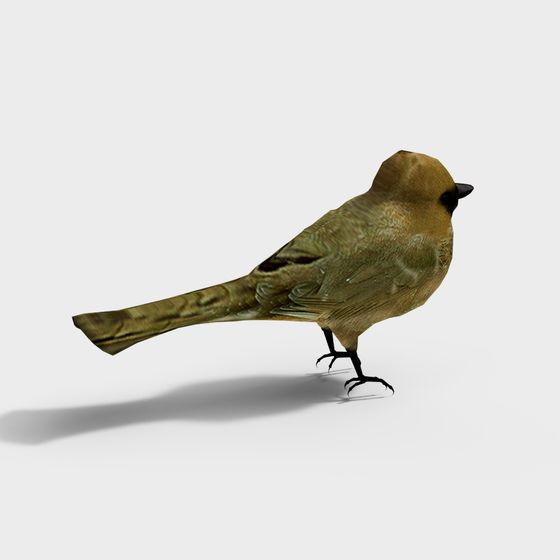 Realistic Forest Spirit Bird 3D model