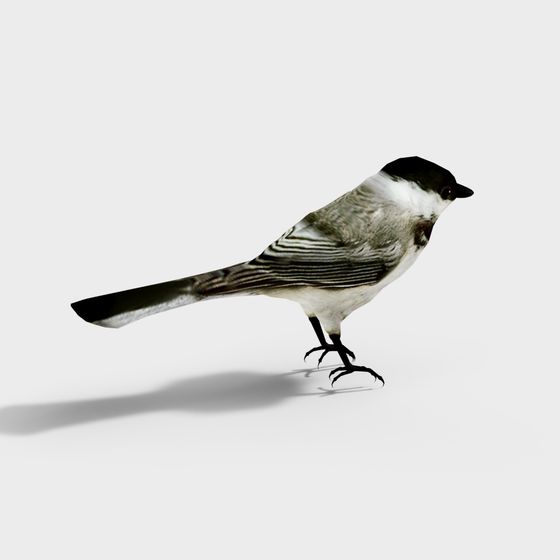 Realistic Low-Poly Bird 3D Model for Creative Projects