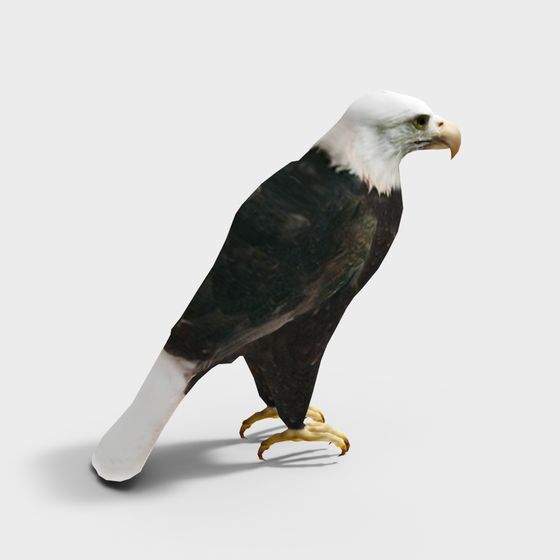 Soaring Eagle 3D Model