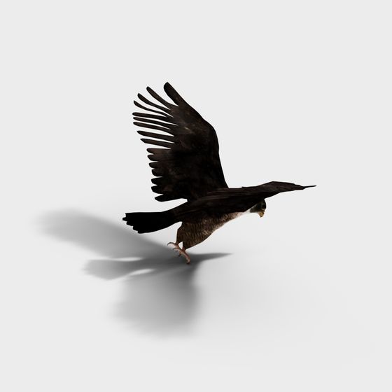 Soaring Eagle 3D model
