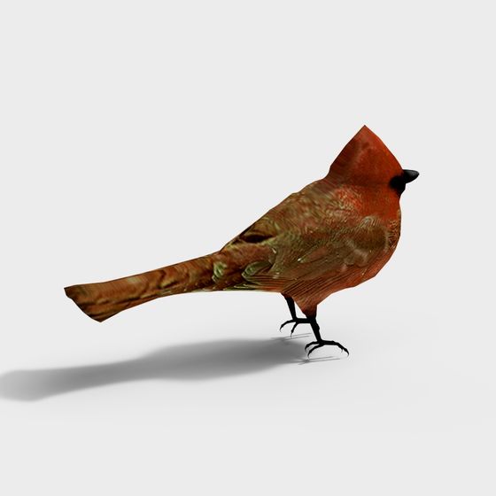 Vibrant Cardinal 3D model for Nature Enthusiasts
