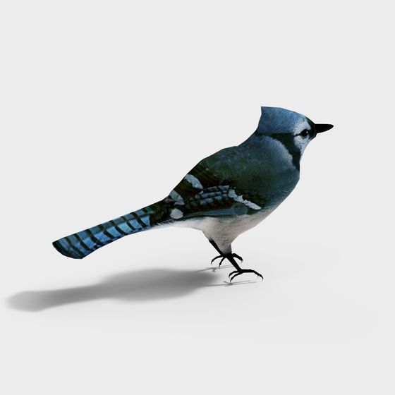Realistic Blue Jay 3D model for Creative Projects