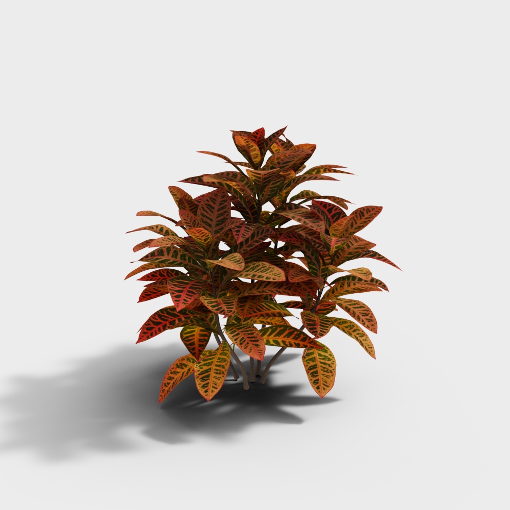 Modern Plant, Change Leaf Tree