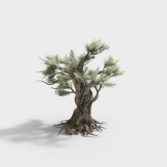 Ancient Tree 3D Model