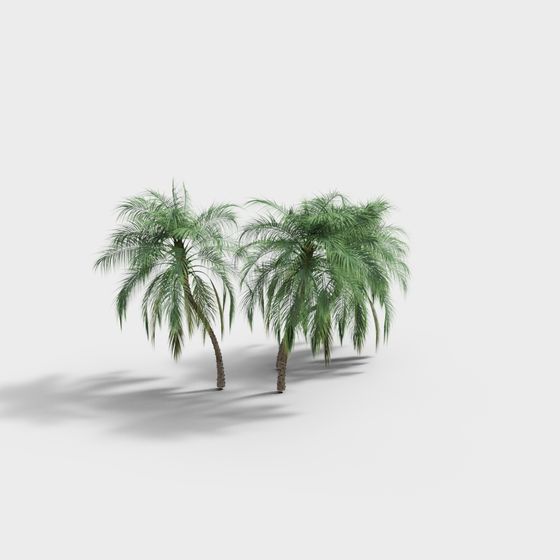 Tropical Palm Trees 3D model