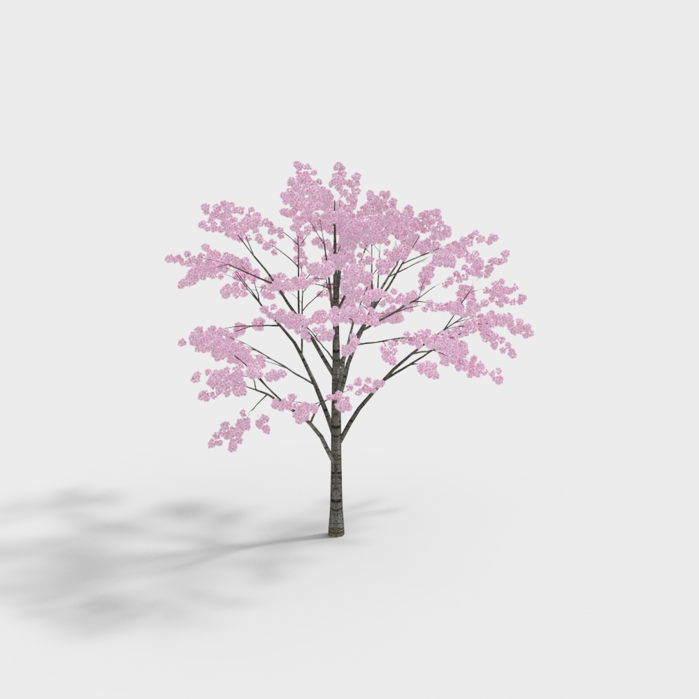 Modern cherry blossom
