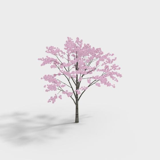Cherry Blossom Tree Low-Poly 3D model