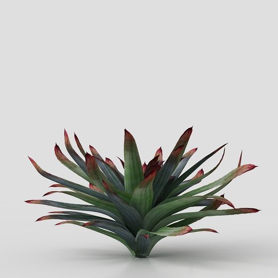 Vibrant Tropical Plant 3D Model for Diverse Uses