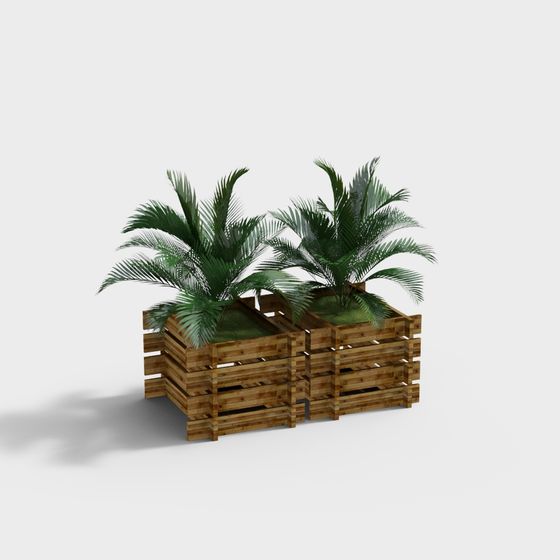 Realistic Wooden Planter with Palm Trees 3D model