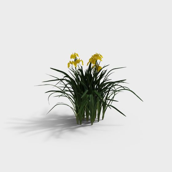 Low-Poly Yellow Iris 3D Model for Nature Enthusiasts