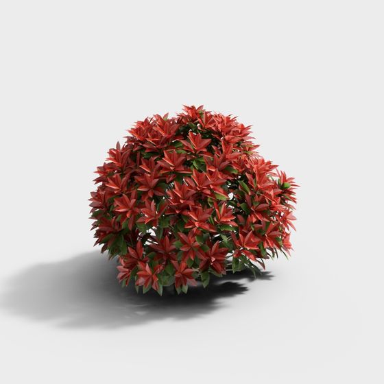 Christmas Red Leaf Shrub 3D model