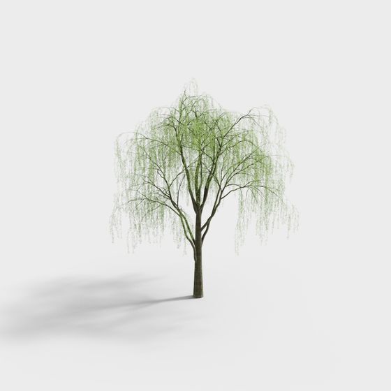 Elegant Low-Poly Weeping Willow Tree 3D model