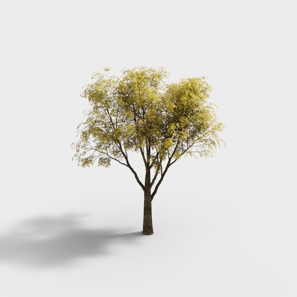 Realistic Low-Poly Oak Tree 3D model