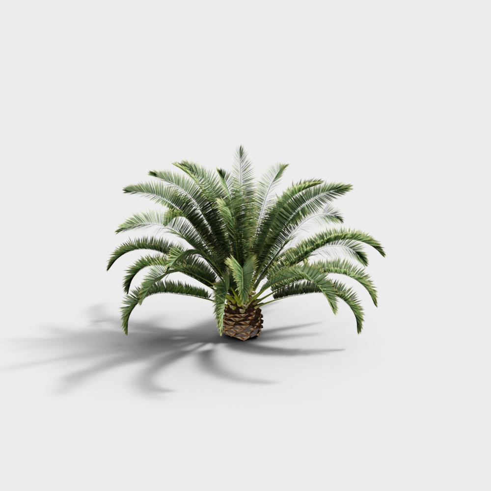 Modern Garden Landscape Tree