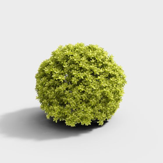 Dome Plant 3D Model - Low Poly High Detail