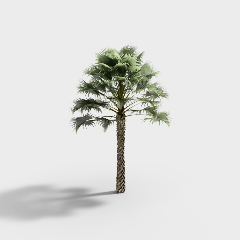 Cây cọ trái cây hiện đại