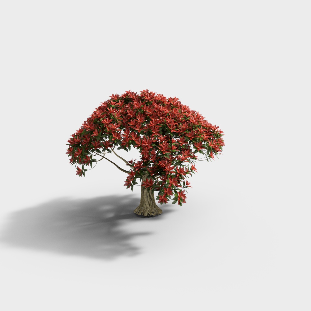 Corbezzolo Foglia di Malvarosa Moderna