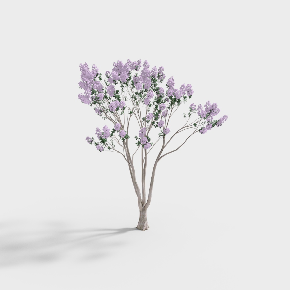 Blooming Purple Flower Tree 3D model