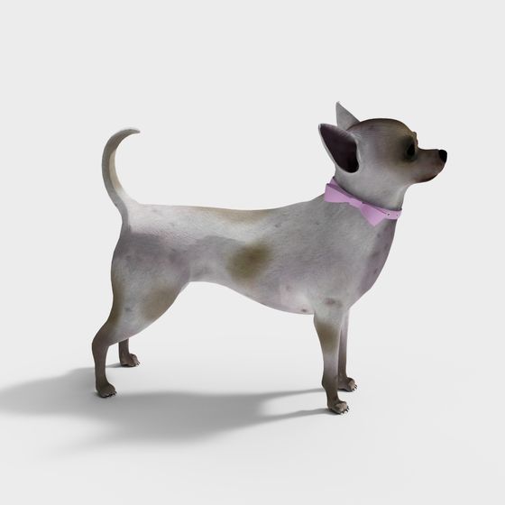 Charming Chihuahua 3D Model for Creative Projects