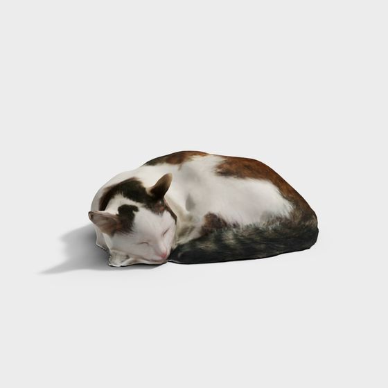 Cute Napping Cat 3D Model