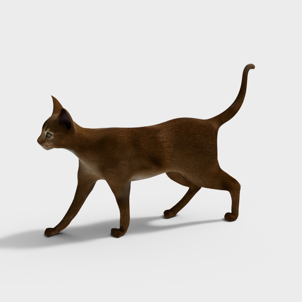 Lifelike Abyssinian Cat 3D model