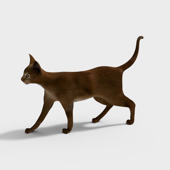 Lifelike Abyssinian Cat 3D model
