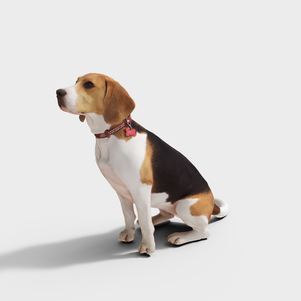 Charming Beagle Dog 3D model