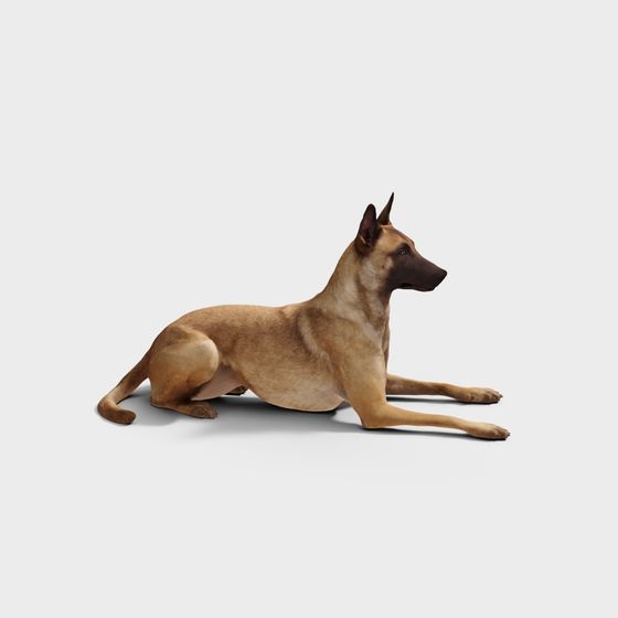 Loyal Companion 3D Model - Lifelike Dog Design