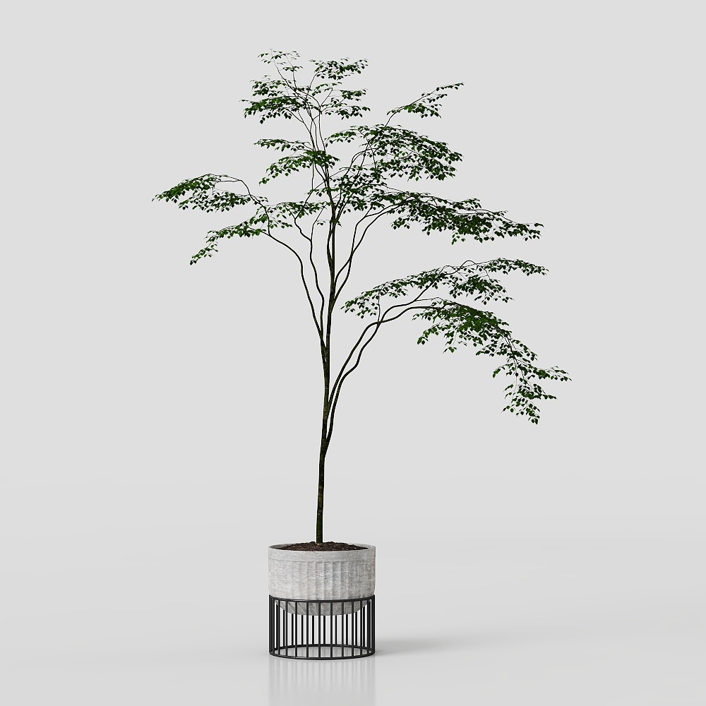 グリーンプラント