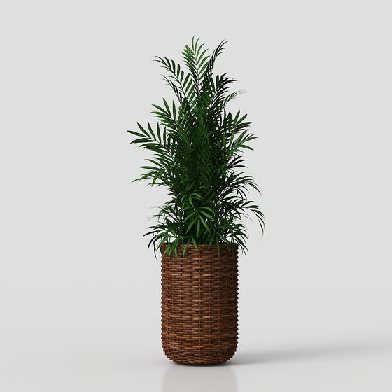 Lively Indoor Plant 3D model
