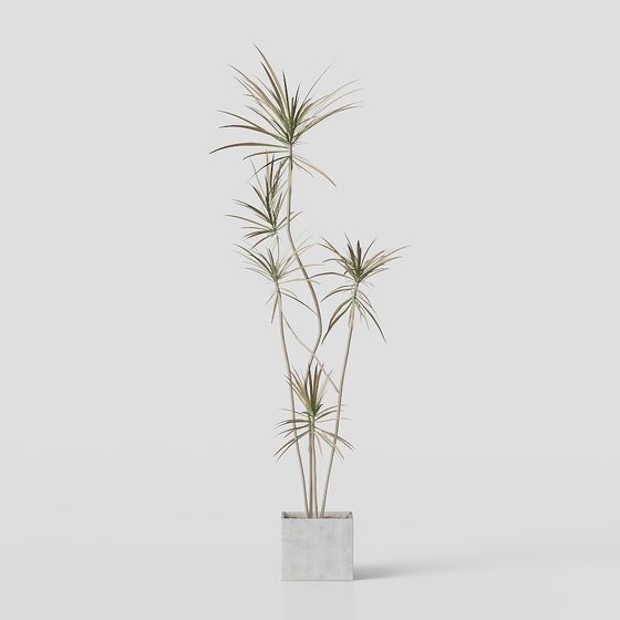 พืชสีเขียว