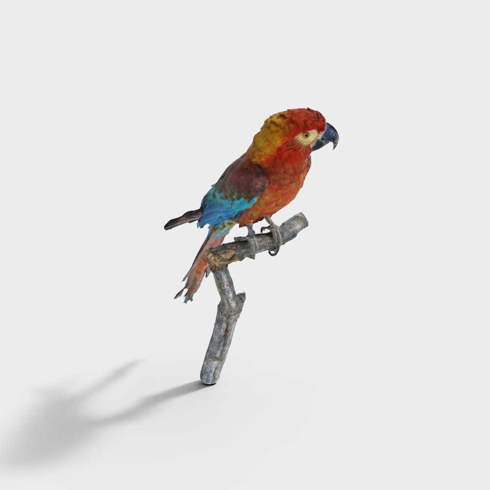 Tropical Rainforest Treasure 3D model