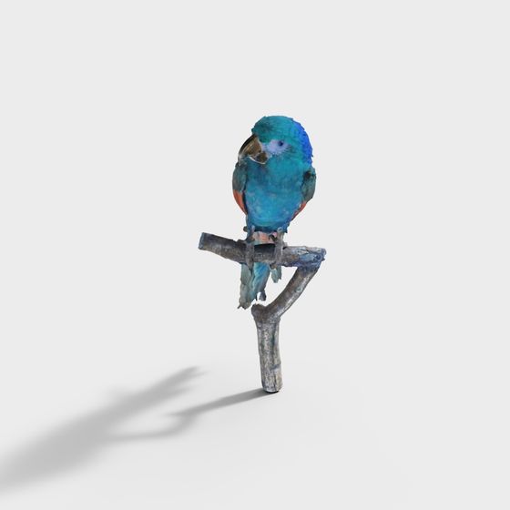 Vibrant Parrot 3D model for Interior and Game Design